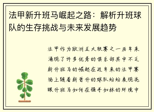 法甲新升班马崛起之路：解析升班球队的生存挑战与未来发展趋势